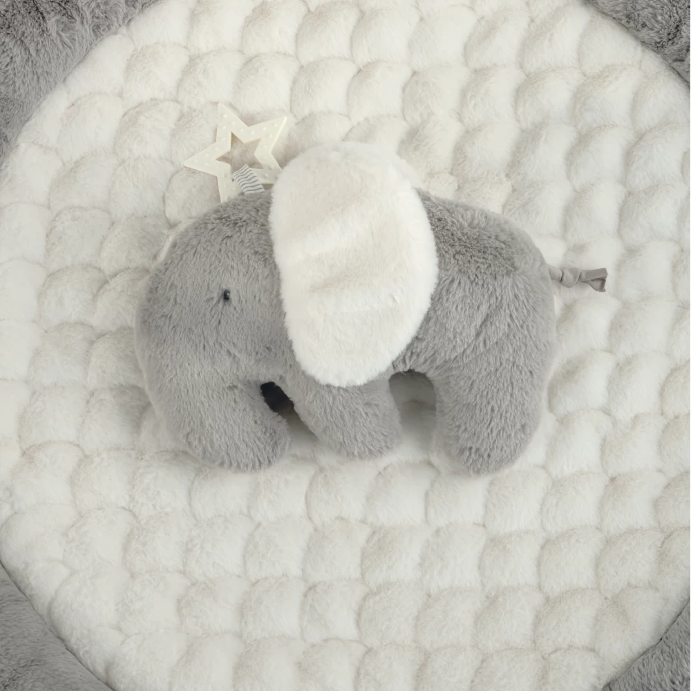 Playmat & Gym in to the World One Fine Baby